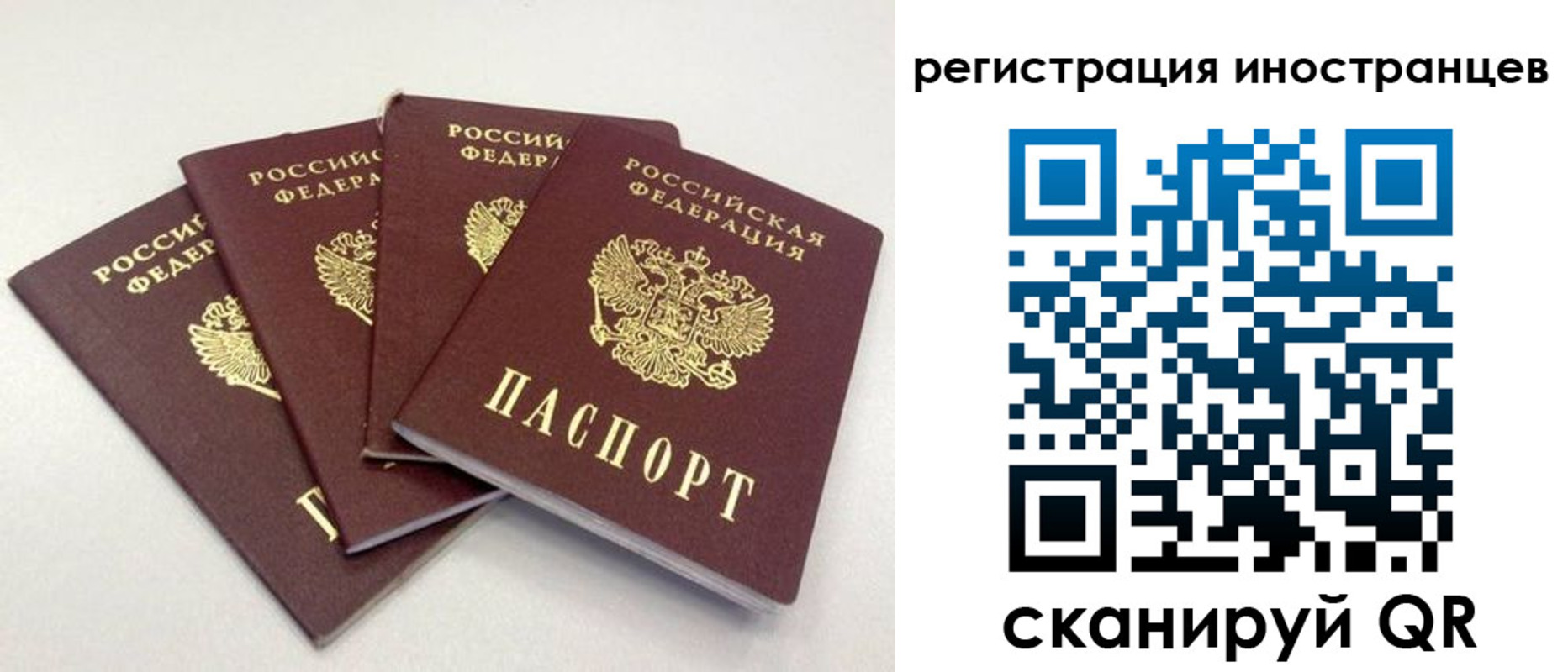 временная регистрация для школы в Ликино-Дулёво